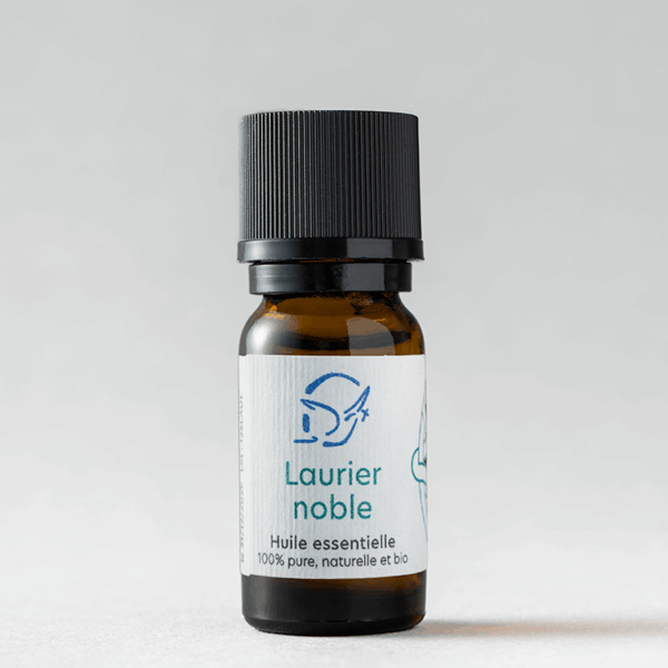 Laurier noble