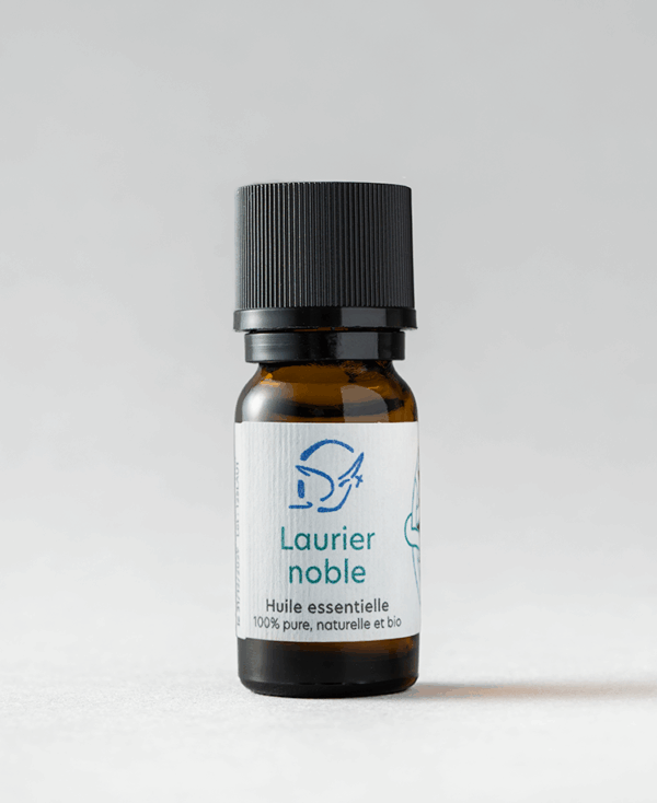 Laurier noble