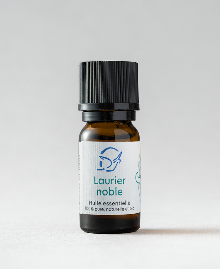 Laurier noble