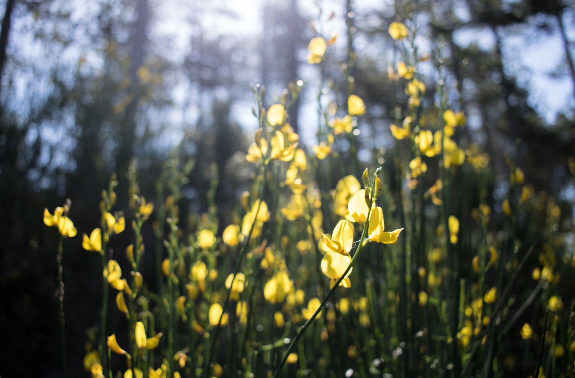 CouleurCiel-2020-9222