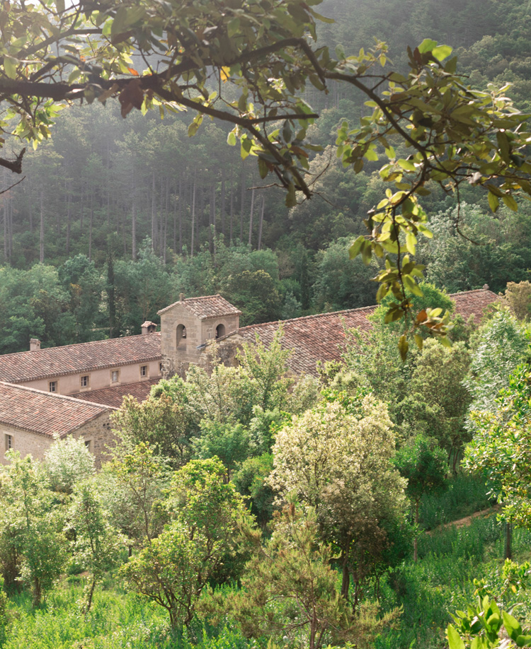 rieunette