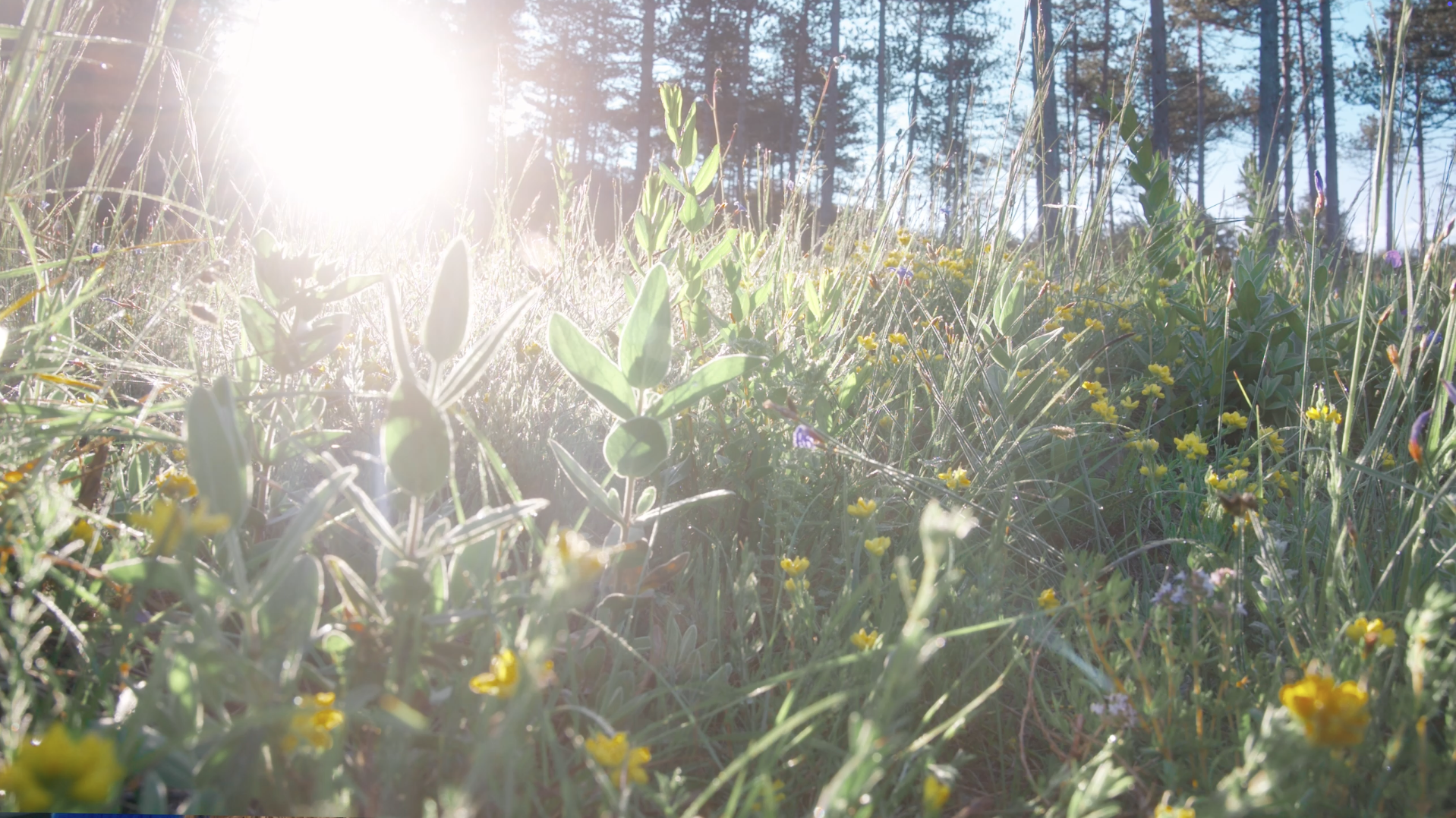 Capture d’écran 2026-01-03 à 10.18.14