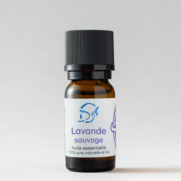 Huile essentielle Lavande sauvage