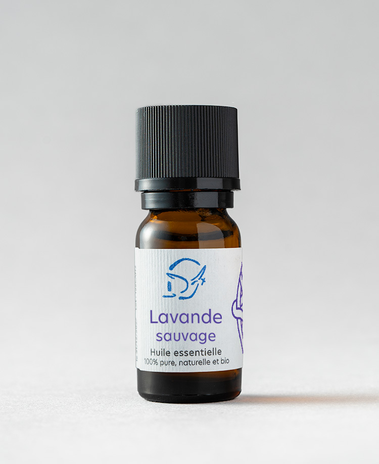 Huile essentielle Lavande sauvage